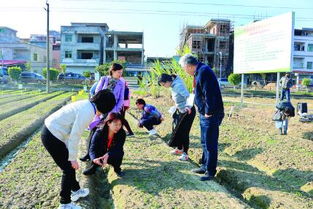 新型高效生物杀虫剂研发 项目示范现场观摩会在惠阳举办