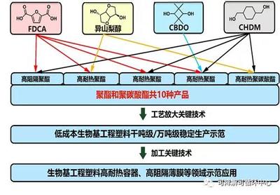 中科院宁波所生物基高分子团队 国家重点研发计划项目获批立项