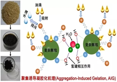 中科院新疆理化所马鹏程研究员团队在生物基凝油材料研究领域取得进展