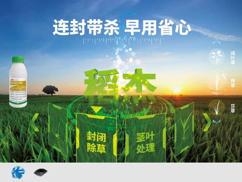 绿色生态农业发展新时期的生物农药的机遇与挑战