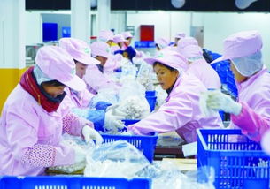 德州经济技术开发区 动能转换 加速跑 协同发展迈大步