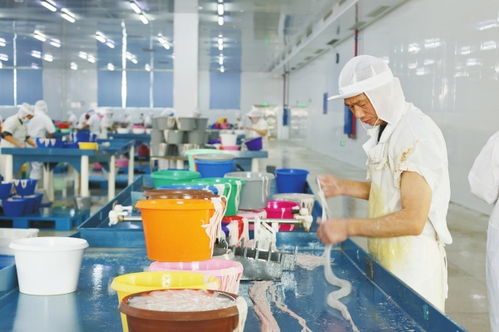 湘猪加工争夺 开门红