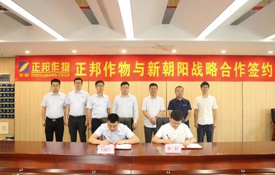 正邦作物与新朝阳签署达成战略合作
