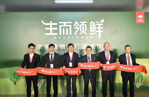 京东植物工厂落成,继养猪之后宣布种菜