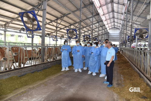 践行 四下基层 创新 四级联动 ,青岛市举办2024年动物疫病净化技术培训班暨现场观摩会