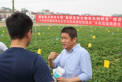 农民背娃下田的照片,为何牵动植保科学家的心