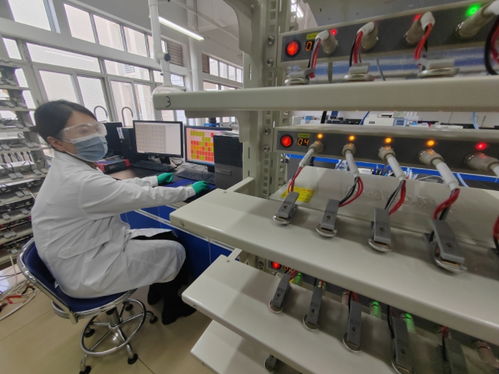 中国首创 洛阳牡丹壳制造钠电池负极材料技术研发成功