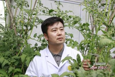 土壤品质差、抗病能力弱?他研发出给土地喝的“酸奶”