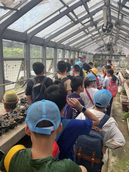观赏珍稀濒危植物,参观 绿化工厂 林学科普营,让自然融入生活