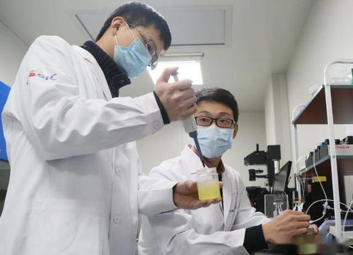 深度 疫情之下,看航天企业如何 荒野求生