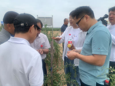 宁夏重点研发计划项目“枸杞病虫害高效新型生物农药创制及精准技术应用研究”通过验收