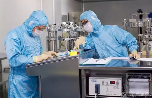 厦门发布关于扶持防控新型冠状病毒生物医药产品研发生产的若干措施