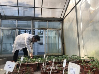 【新春走基层】龙蟒福生:助力春耕 生产不停