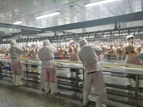 农业农村部 大力发展数字农业 生物农药 美国占据全球1 3的市场