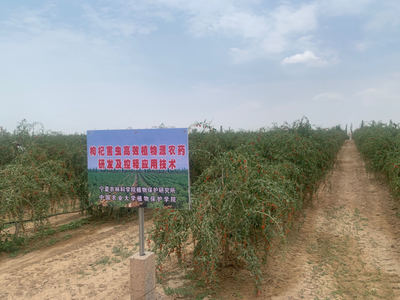 宁夏重点研发计划项目“枸杞病虫害高效新型生物农药创制及精准技术应用研究”通过验收