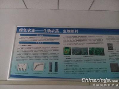 看看个赛个的研发单位,河北省科学院生物研究所
