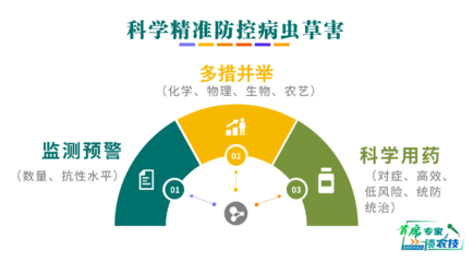 首席专家谈农技|直播 第二十期春季植保专场
