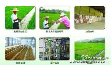 2016十大热门农业热点.