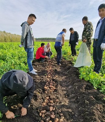 我校国家重点研发项目子课题通过验收