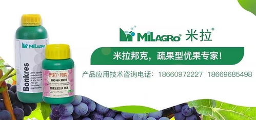 对于农用植物精油的4大疑问