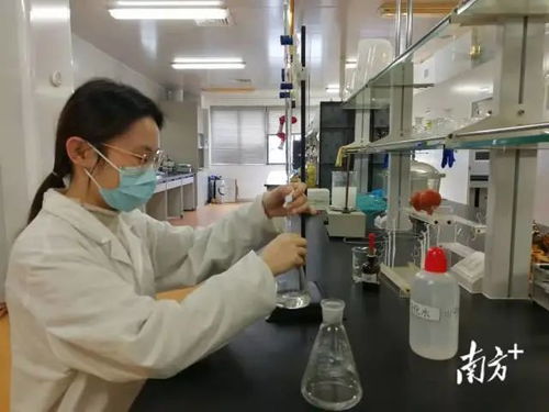 提速创品牌 龙湖大健康产业2025年营收力争突破250亿元