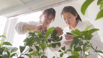 探访知名产业园区 蓝色生物医药产业园企业风采