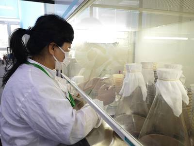烟台水禾土生物科技自主研发新型创制类生物农药