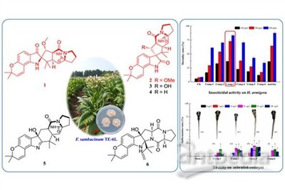 新型化合物可制造高效低毒生物农药