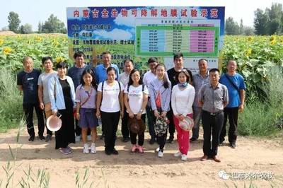 全区全生物降解地膜现场观摩交流会在磴口县召开