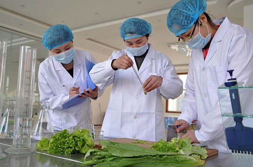 山东通报20批不合格样品 检出农药残留超标 微生物污染等问题