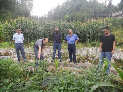 州农科院国家重点研发计划项目--辣椒微生物菌剂化肥农药减施技术顺利通过专家组测评