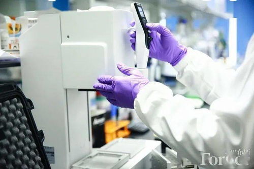 和铂医药ceo王劲松 执着病患需求,用生物 5g技术 加速中国新药创新