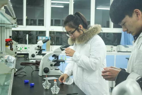 看,黑科技 长师创新实验技能大赛 颠覆 你的想象