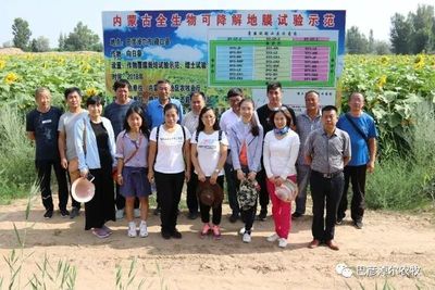 全区全生物降解地膜现场观摩交流会在磴口县召开