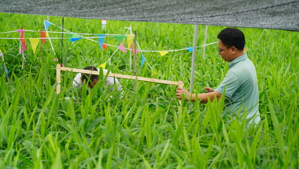 2024年全省生姜姜瘟病生物防治技术培训会在犍为举行