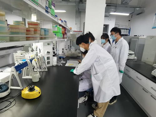 这群大学生固守祖国西北农田,用前沿生物技术解决农药难题
