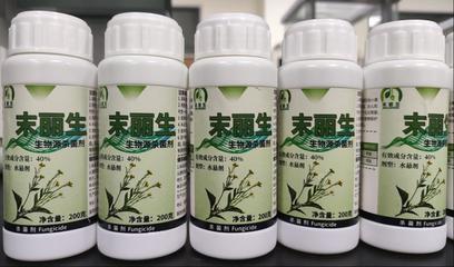 生物农药“末丽生”为小麦病虫害防治带来新突破