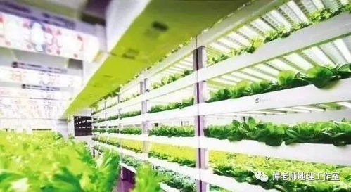 植物工厂是个什么鬼 我国全球第二,关于植物工厂你需要掌握的地理知识