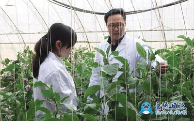 大学生创业之星|安仲涛:疗愈受伤的土地