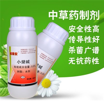 草莓枯黄萎病治疗-生物农药溃腐灵