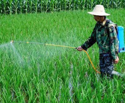【科研】农作物“喝中药”可以补充营养、防病、还能杀虫?