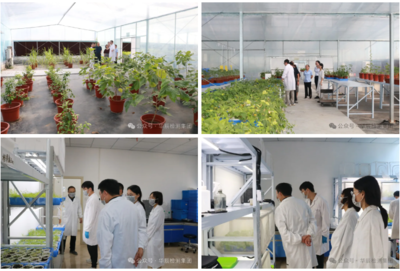 深化战略沟通,夯实互信之基--永农生物科学领导一行莅临华辰检测集团考察交流