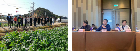 “广东省主要经济作物肥料农药减施增效技术研究与示范”项目在我市惠东实施