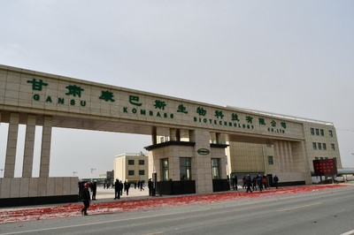 工程公司:甘肃康巴斯生物科技高端农药原药及农药中间体项目开门仪式