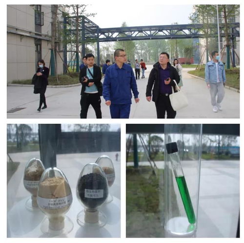 关注 绿色农业需要生物农药的参与,生物农药蓬勃发展已成事实