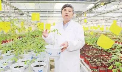 为农药“正名”,促绿色创新:宋宝安院士详述我国农药未来发展方向