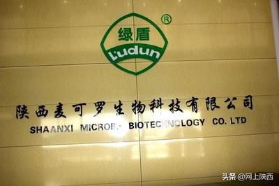 【科学发展 扬帆远行】--麦可罗生物科技年产1000吨春雷霉素原料药(二期)工程开工仪式圆满成功