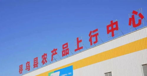 农业供应链升级的 菜鸟实践