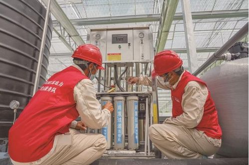 智慧大棚年产蔬菜105吨 生物基材料技术研发的突破性应用