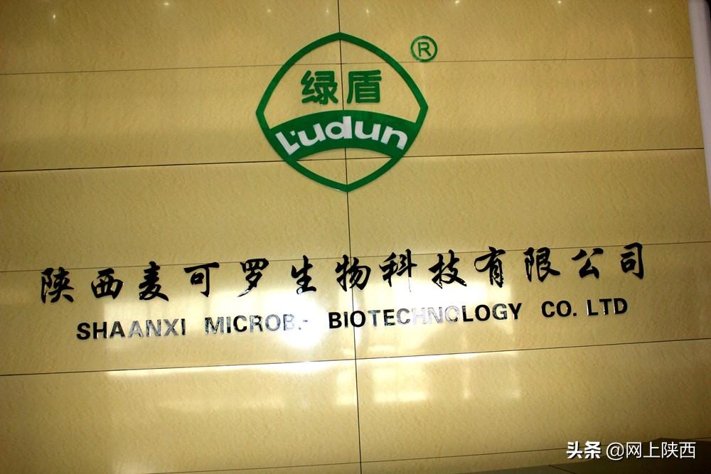 科学发展 扬帆远行 麦可罗生物科技年产1000吨春雷霉素原料药(二期)工程开工仪式圆满成功